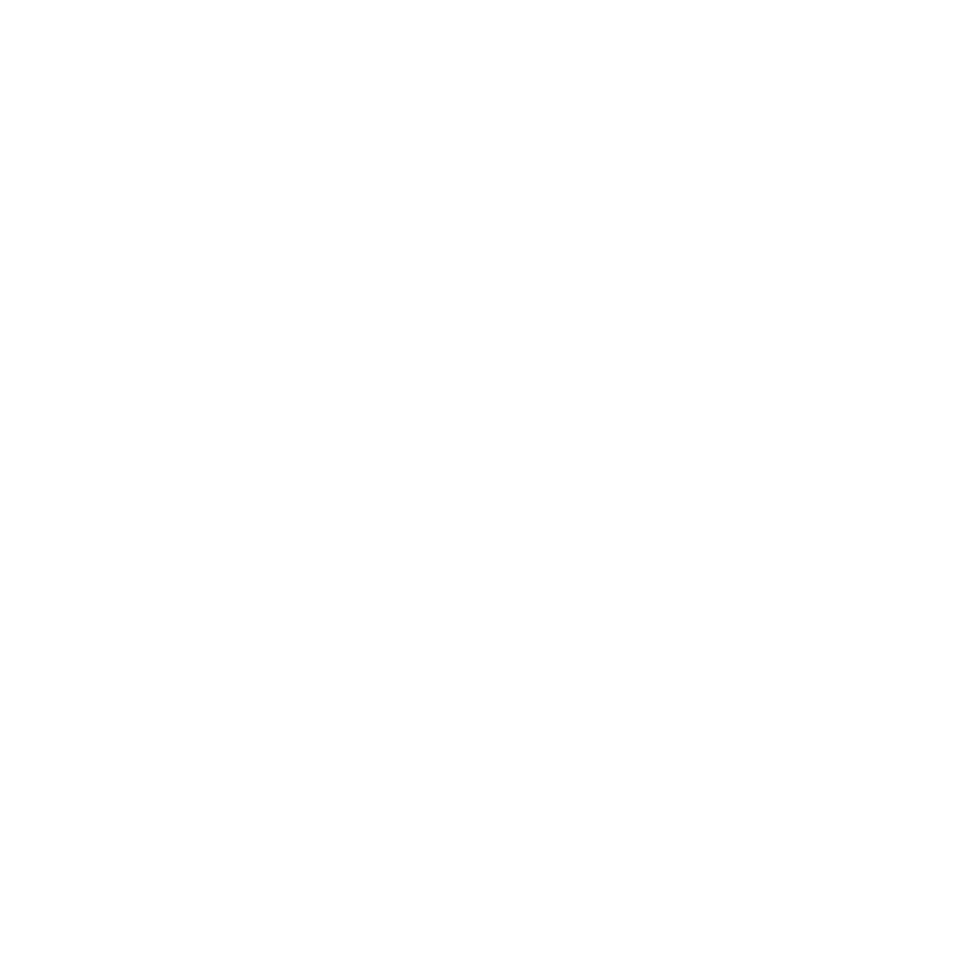 Magnadyne